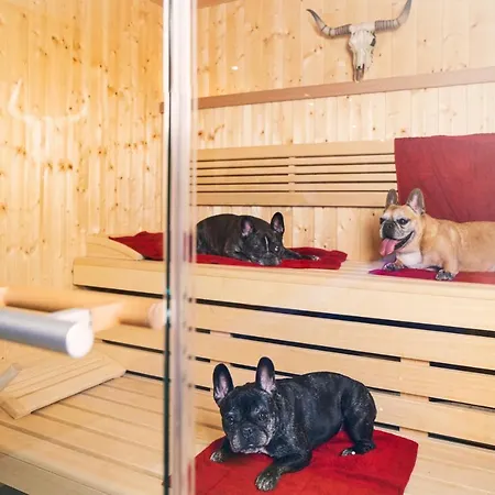 酒店 Fettehenne 勒沃库森