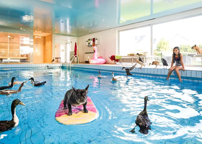 Fettehenne ホテル