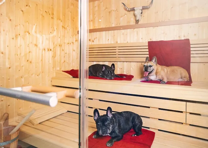 ホテル Fettehenne レバークーゼン