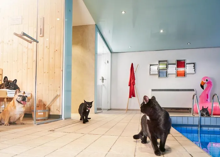 Fettehenne ホテル レバークーゼン